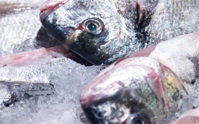 ¿POR QUÉ METERLE MÁS FRÍO A UNA CARGA REFRIGERADA O CONGELADA PUEDE DAÑARLA?